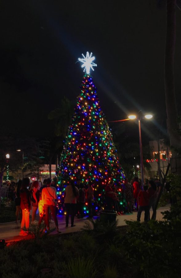 The lit up Christmas tree at Losner Park was the centerpiece of the evening. 