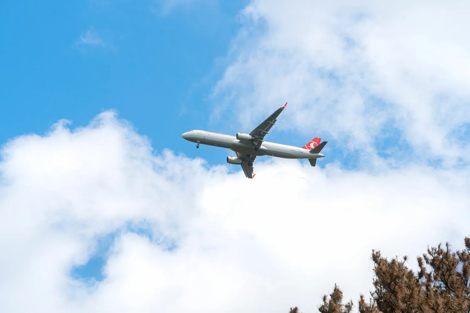 Sheriff's office investigators connect a New York flight attendant to an elder fraud case in Palm Coast