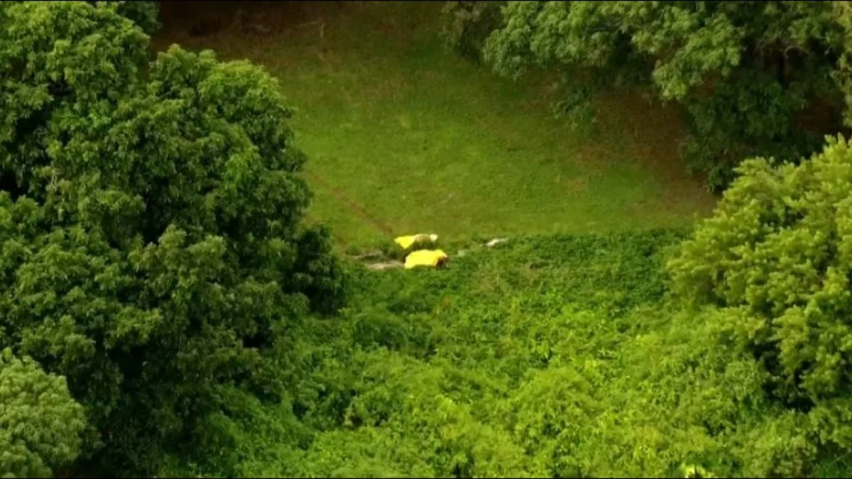 Investigators at a field in northwest Miami-Dade after a body was discovered